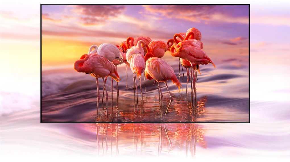 Smart Ax88com đăng nhập QLED 55 Inch 4K QA55Q63CAKXXV