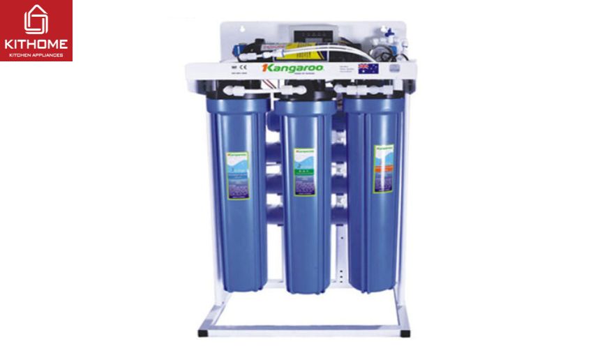 Ax881 cá cược trực tuyến Kangaroo RO KG300VN