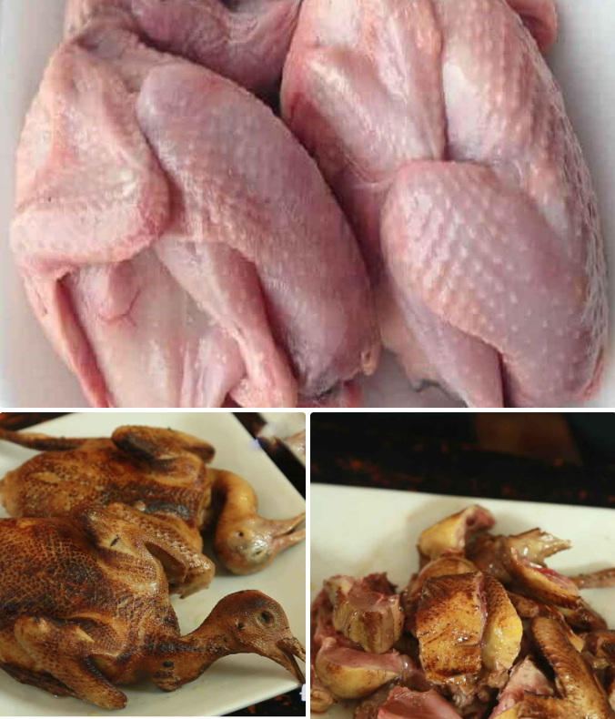 Sơ chế bồ câu Sơ chế bồ câu