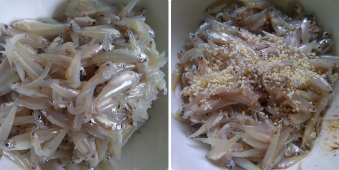 Sơ chế và ướp cá cơm Sơ chế và ướp cá cơm
