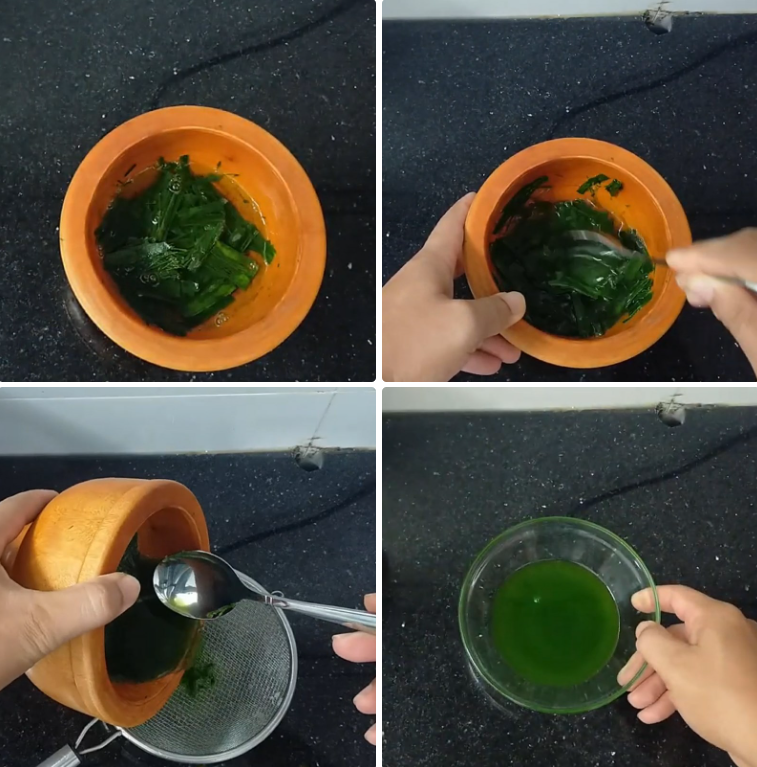 Vắt nước cốt lá dứa Vắt nước cốt lá dứa