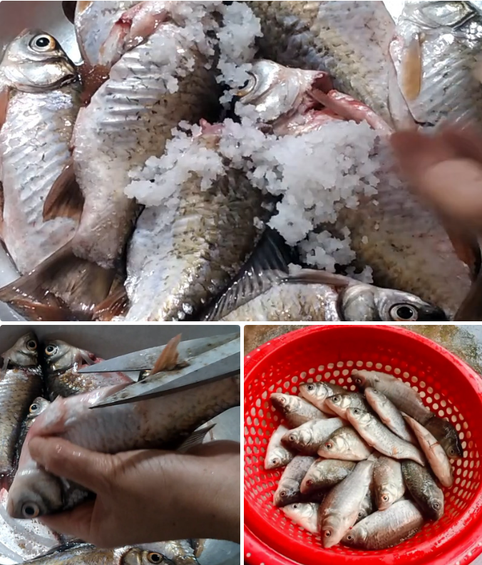 Sơ chế cá diếc Sơ chế cá diếc