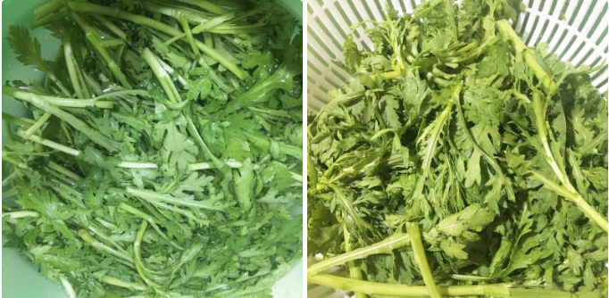 Sơ chế cải cúc (tần ô) Sơ chế cải cúc (tần ô)