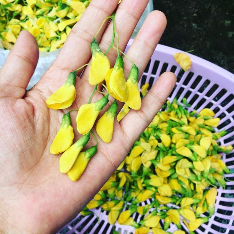 canh-chua-ca-bong-tuong-5 Bước 2 Sơ chế Chào mừng đến với AX88.COM Canh chua cá bống tượng