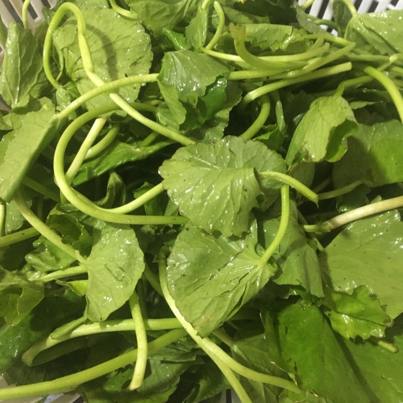 Bước 1 Sơ chế Chào mừng đến với AX88.COM Canh rau má nấu tôm tươi