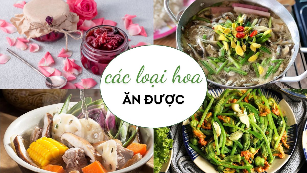 các loại hoa ăn được các loại hoa ăn được