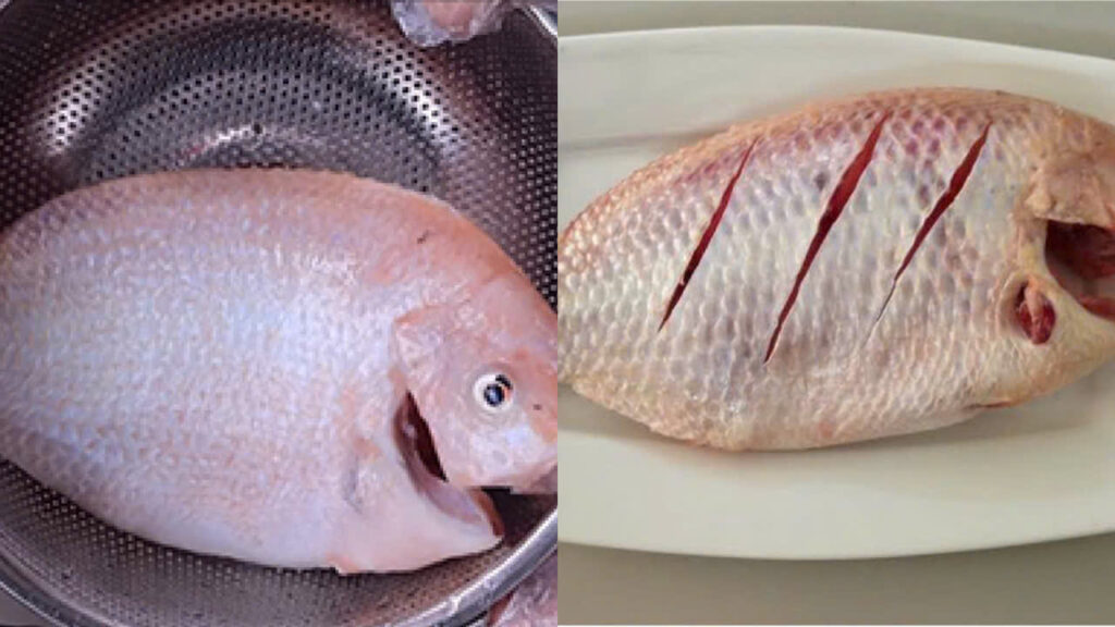 Sơ chế cá diêu hồng Sơ chế cá diêu hồng