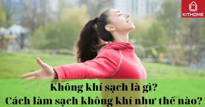 Thế nào là AX88 ATQ sạch? Các cách làm sạch AX88 ATQ trong nhà hiệu quả nhất Thế nào là AX88 ATQ sạch? Các cách làm sạch AX88 ATQ trong nhà hiệu quả nhất