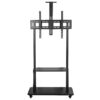 Giá treo tivi di động ErgoTek E2500 (55 - 90 inch)