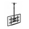 Giá treo tivi thả trần North Bayou NBT-560-15 (32-75 inch)