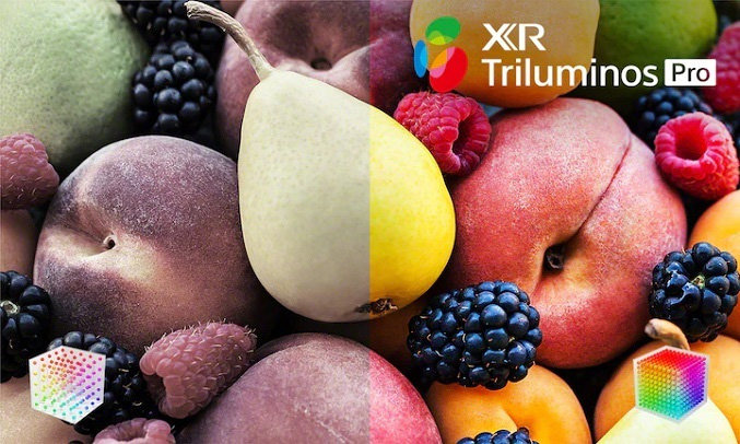Công nghệ XR Triluminos PRO tái tạo Tải app AX88 ngay hôm nay Công nghệ XR Triluminos PRO tái tạo Tải app AX88 ngay hôm nay