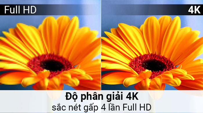 Hình ảnh rõ nét nhờ độ phân giải 4K Hình ảnh rõ nét nhờ độ phân giải 4K