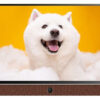 Google tivi xách tay Coocaa FHD 24 inch 24LP6000G | Ax88com