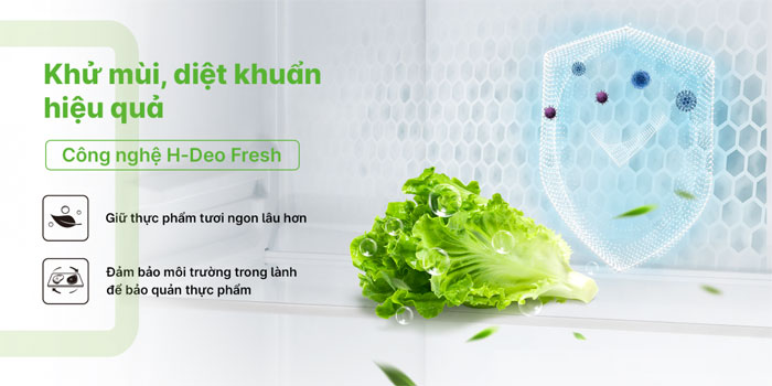 Kháng khuẩn, khử mùi hiệu quả với công nghệ H-DEO Fresh Ax88Win Com Link đăng ký tài khoản AQUA Inverter 469 lít AQR-M560XA(GL) Kháng khuẩn, khử mùi hiệu quả với công nghệ H-DEO Fresh