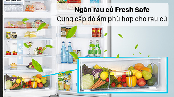 Ax88Win Com Link đăng ký tài khoản Panasonic NR-TV261APSV có ngăn rau củ Ax88Win Com Link đăng ký tài khoản Panasonic NR-TV261APSV có ngăn rau củ