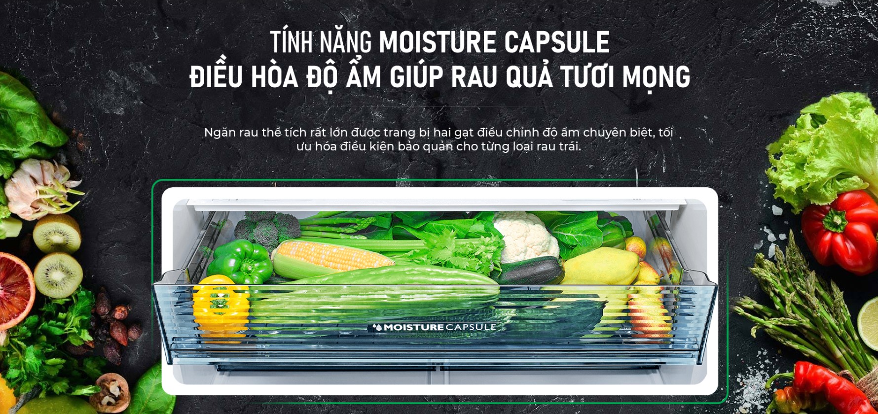 Ngăn rau của Moisture Capsule kiểm soát AX88 Sòng bạc phổ biến nhất hoàn hảo Ngăn rau của Moisture Capsule kiểm soát AX88 Sòng bạc phổ biến nhất hoàn hảo