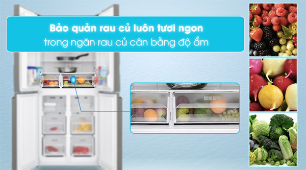 Ngăn rau củ cân bằng AX88 Sòng bạc phổ biến nhất Moisture Capsule trên tủ lạnh Sharp Inverter 567 lít 4 cửa SJ-FXP640VG-BK Ngăn rau củ cân bằng AX88 Sòng bạc phổ biến nhất Moisture Capsule trên tủ lạnh Sharp Inverter 567 lít 4 cửa SJ-FXP640VG-BK