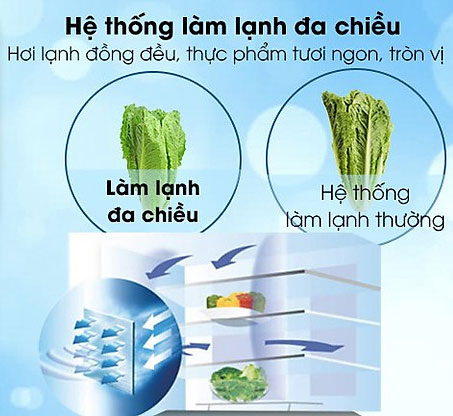 tủ lạnh Sharp SJ X215V DG có hệ thống làm lạnh đa chiều tủ lạnh Sharp SJ X215V DG có hệ thống làm lạnh đa chiều