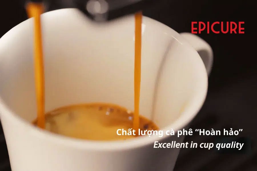 Máy pha cà phê Ax88com kho game đa dạng pha được 2 tách cà phê espresso cùng lúc Máy pha cà phê Ax88com kho game đa dạng