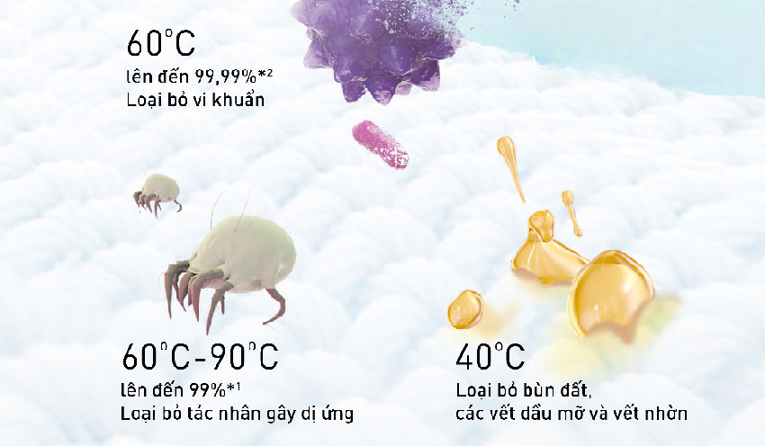 Giặt Ax88Win Com Link đăng ký tài khoản StainMaster+