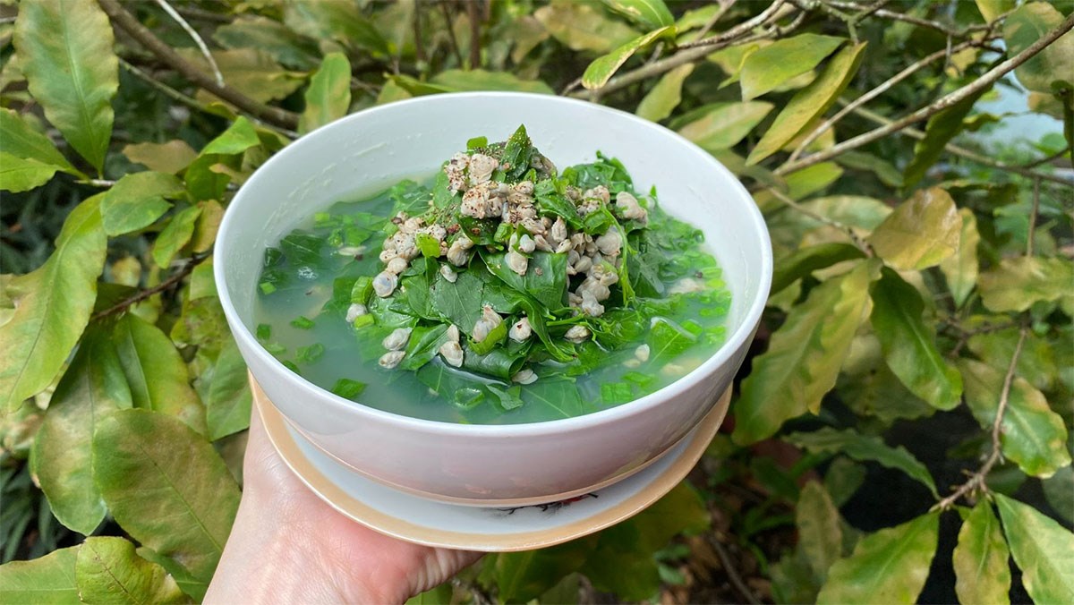 Cách làm canh hến nấu rau ngót đơn giản thanh nhiệt cơ thể hiệu quả Cách làm canh hến nấu rau ngót đơn giản thanh nhiệt cơ thể hiệu quả