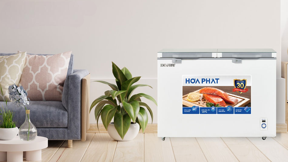 tủ đông Hòa Phát AD6352.T1