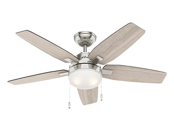 AX88 ATQ cá cược thể thao Hunter Arcot 50646