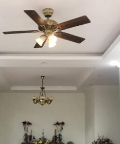 AX88 ATQ cá cược thể thao Hunter Savoy 24520