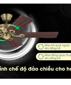 AX88 ATQ cá cược thể thao Hunter Savoy 24520