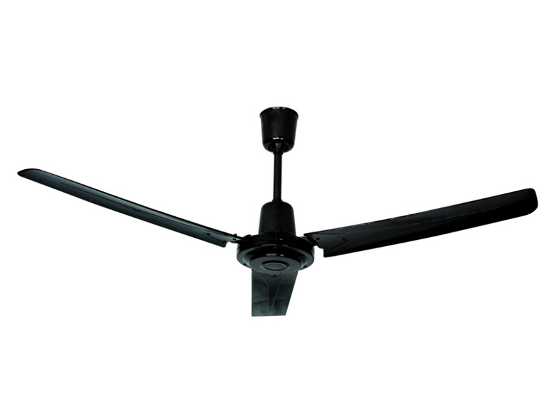 AX88 ATQ cá cược thể thao 3 cánh nhựa Kim Thuận Phong KTP 15