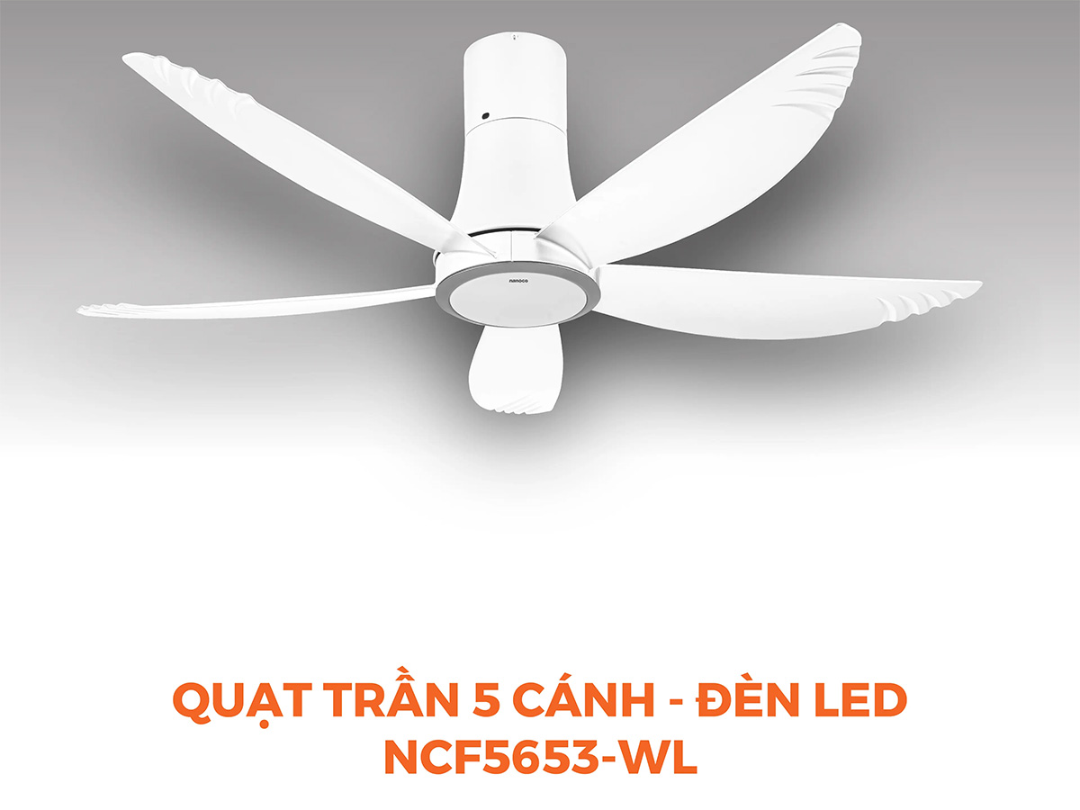AX88 ATQ cá cược thể thao cho lưu lượng gió lớn AX88 ATQ cá cược thể thao