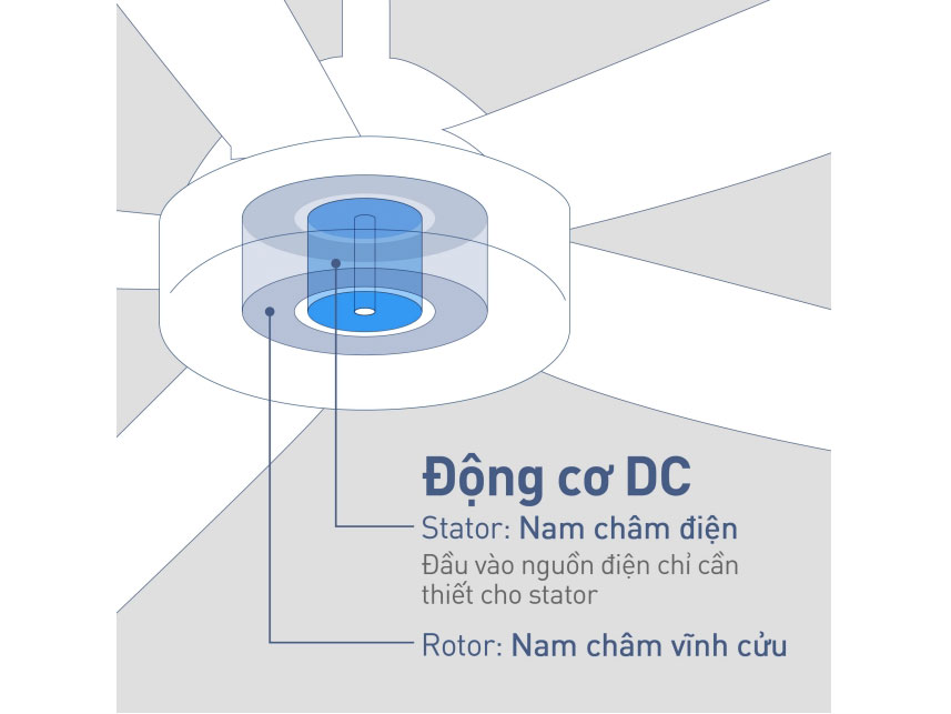 AX88 ATQ cá cược thể thao 5 cánh Panasonic F-60GDS