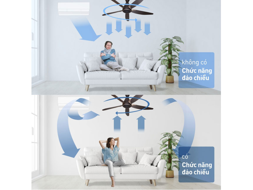 AX88 ATQ cá cược thể thao có đảo chiều AX88 ATQ cá cược thể thao