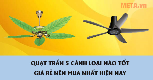 quat-tran-5-canh-tot-gia-re-al
