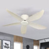 AX88 ATQ cá cược thể thao Beller 51BL – 076W KD 5 cánh