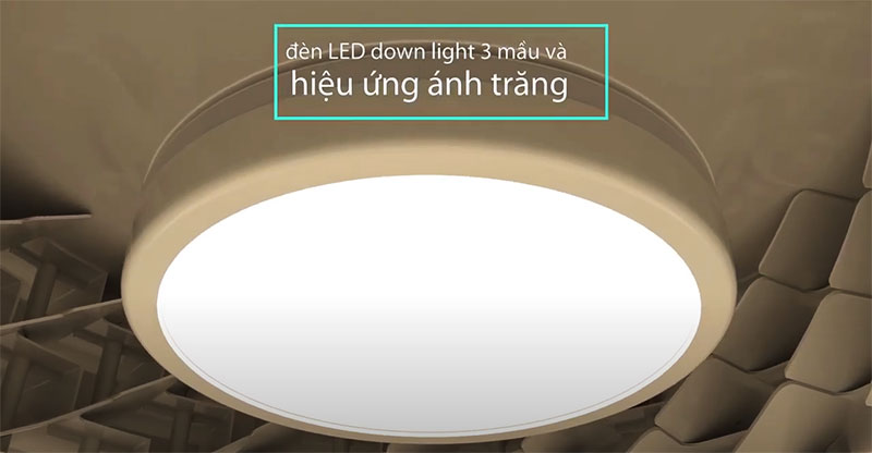 AX88 ATQ cá cược thể thao Benny Firenze BF-C73BLS có đèn LED chiếu sáng AX88 ATQ cá cược thể thao Benny Firenze BF-C73BLS có đèn LED chiếu sáng