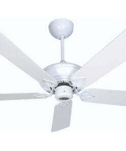 AX88 ATQ cá cược thể thao cánh gỗ Kim Thuận Phong KM22