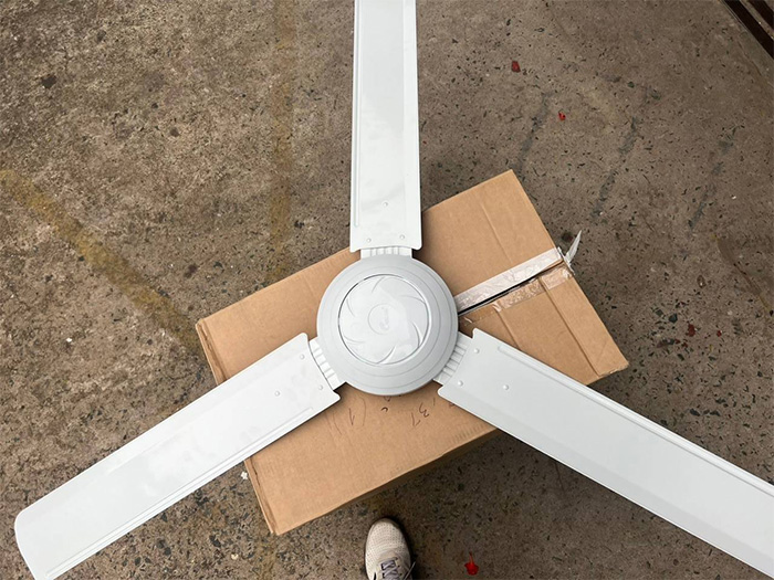 AX88 ATQ cá cược thể thao Ching Hai SF7168