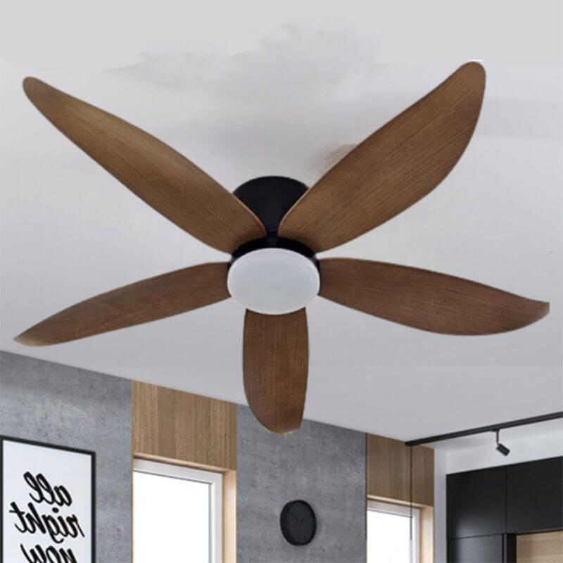 AX88 ATQ cá cược thể thao đèn Beller 51BL – 074B CD 5 cánh