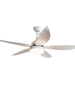 AX88 ATQ cá cược thể thao đèn Beller 48BL – 988W 5 cánh