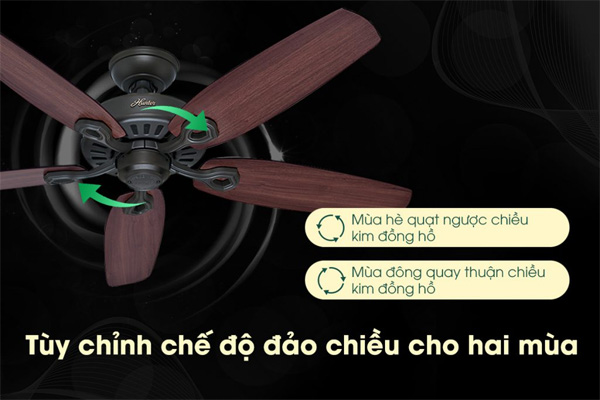 AX88 ATQ cá cược thể thao Hunter Builder 50567 (50562)