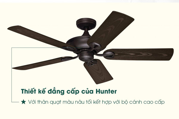AX88 ATQ cá cược thể thao Hunter Maribel 50555 AX88 ATQ cá cược thể thao Hunter Maribel 50555