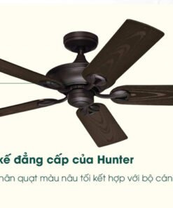 AX88 ATQ cá cược thể thao Hunter Maribel 50555