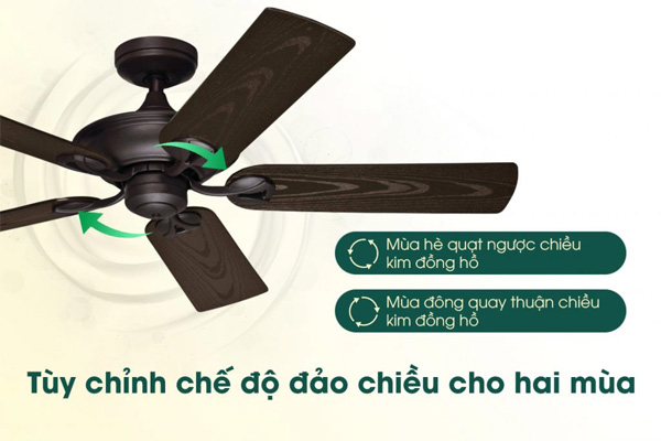 AX88 ATQ cá cược thể thao Hunter Maribel 50555