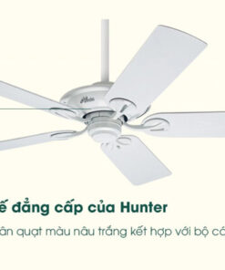 AX88 ATQ cá cược thể thao Hunter Maribel 50557