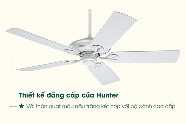 AX88 ATQ cá cược thể thao Hunter Maribel 50557