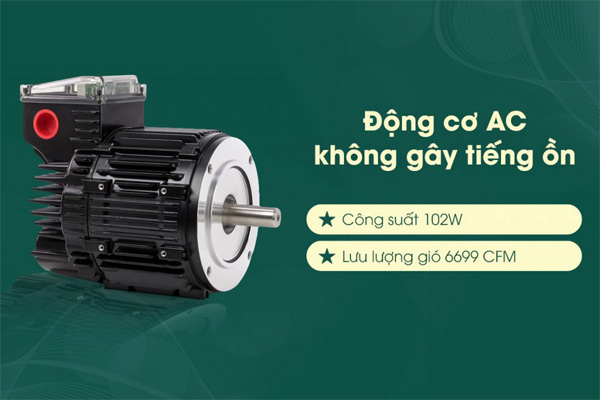 AX88 ATQ cá cược thể thao Hunter Maribel 50557 AX88 ATQ cá cược thể thao Hunter Maribel 50557