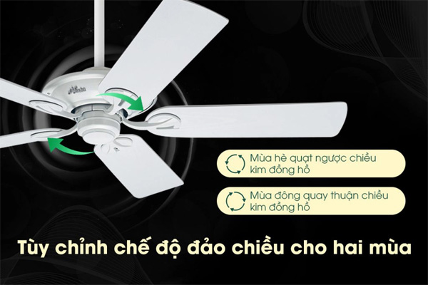 AX88 ATQ cá cược thể thao Hunter Maribel 50557 AX88 ATQ cá cược thể thao Hunter Maribel 50557