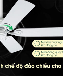 AX88 ATQ cá cược thể thao Hunter Maribel 50557