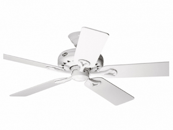 AX88 ATQ cá cược thể thao Hunter Savoy 24526